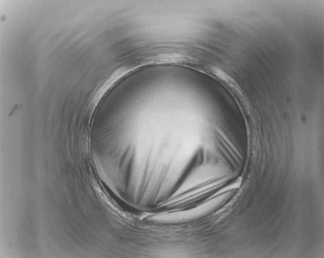 X0000053091473200508081258