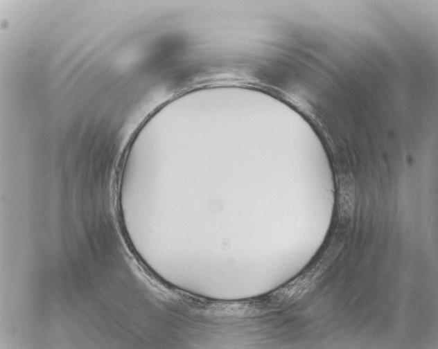 X0000053091474200508081258