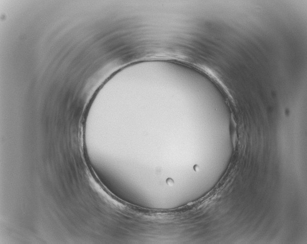 X0000053091476200508081258