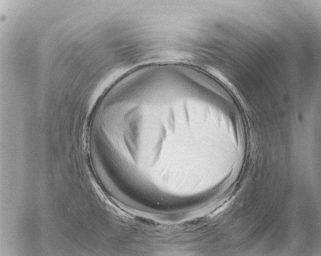 X0000053091477200508081258