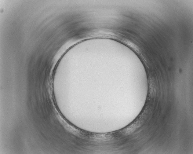 X0000053091478200508081258