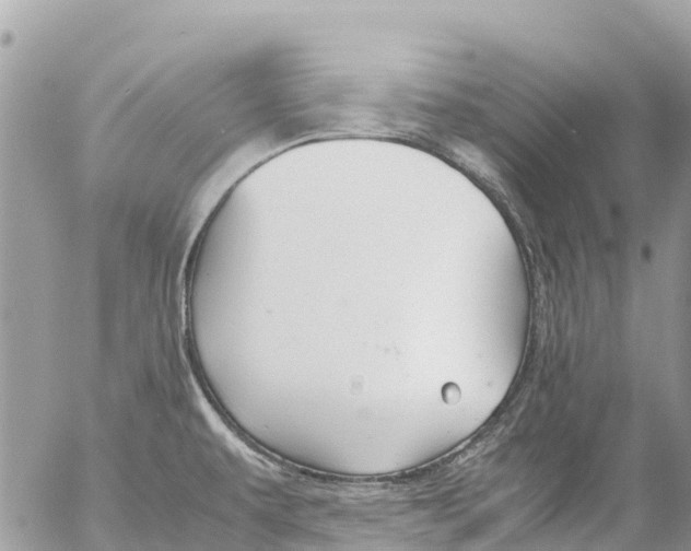 X0000053091479200508081258