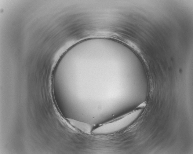 X0000053091480200508081258