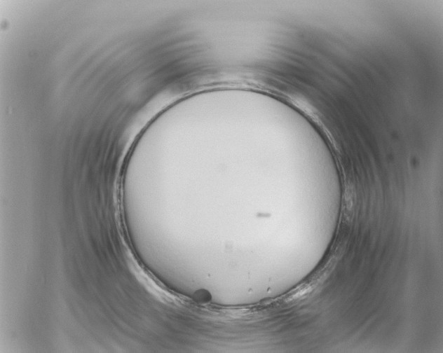 X0000053091482200508081258