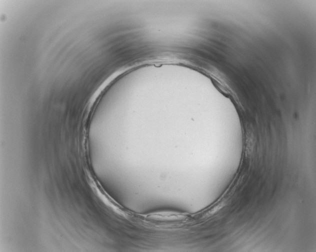 X0000053091484200508081258