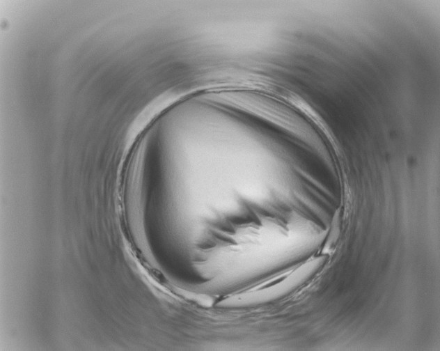 X0000053091485200508081258