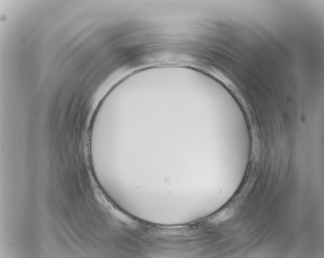 X0000053091486200508081258