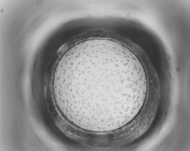 X0000053091487200508081258