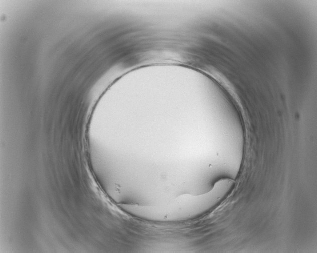 X0000053091488200508081258