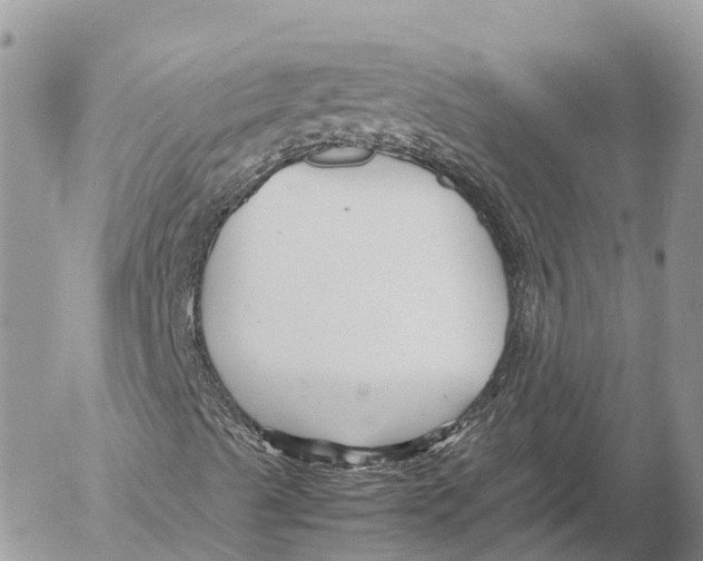 X0000053091489200508081257