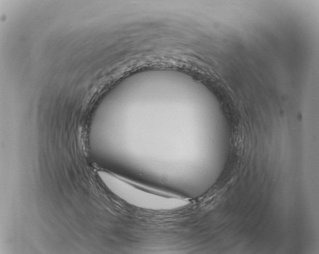 X0000053091490200508081257