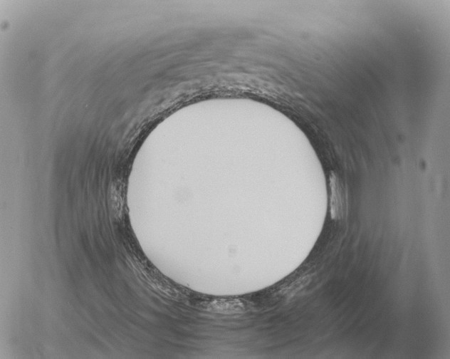 X0000053091491200508081257