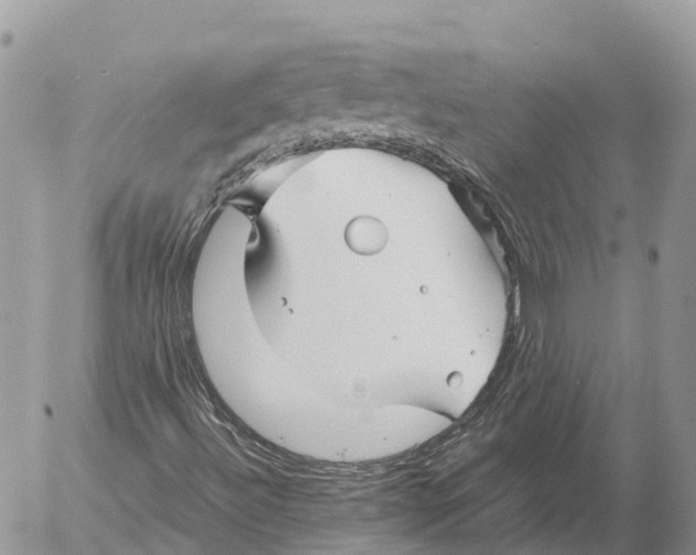 X0000053091492200508081257