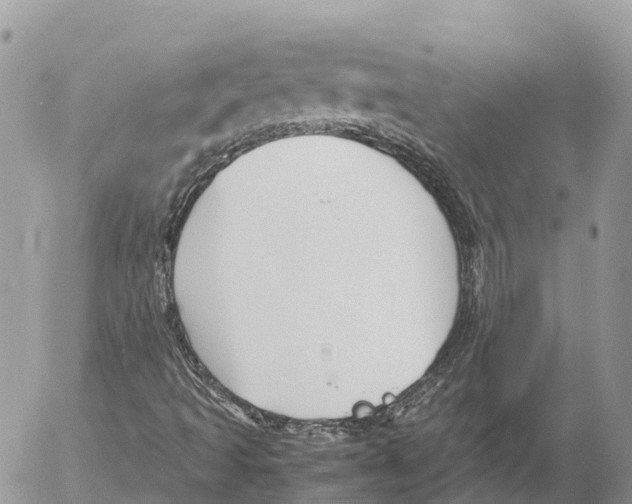 X0000053091493200508081257