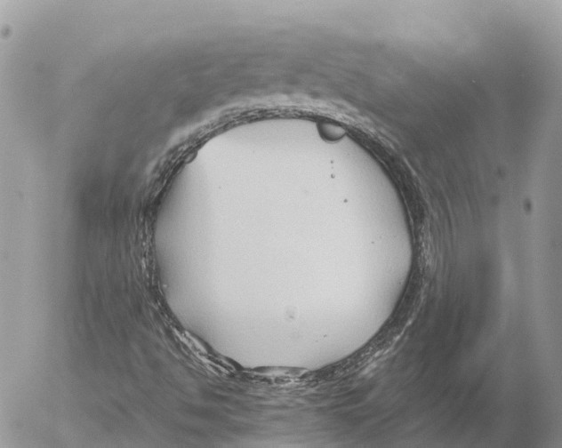 X0000053091494200508081257