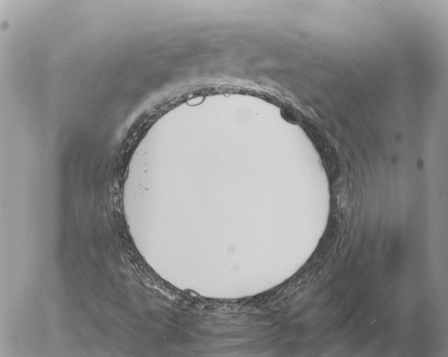 X0000053091495200508081257