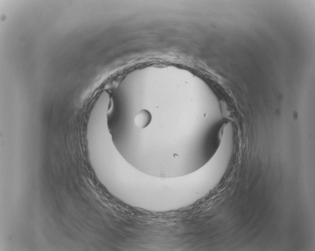 X0000053091496200508081257