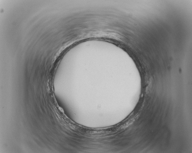 X0000053091497200508081257