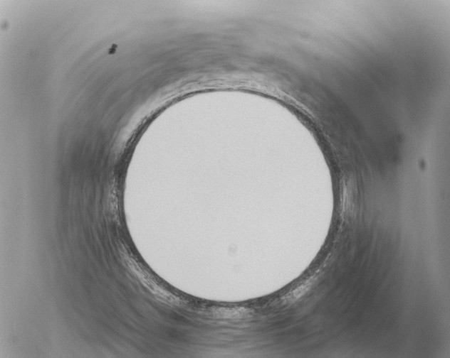 X0000053091498200508081257