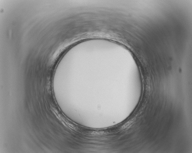 X0000053091499200508081257