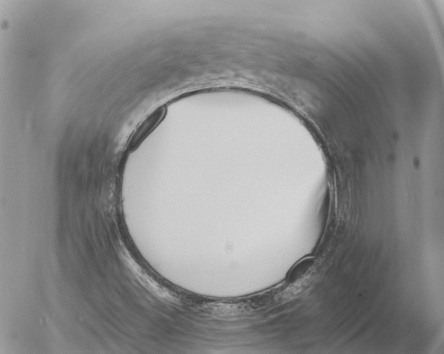 X0000053091500200508081257