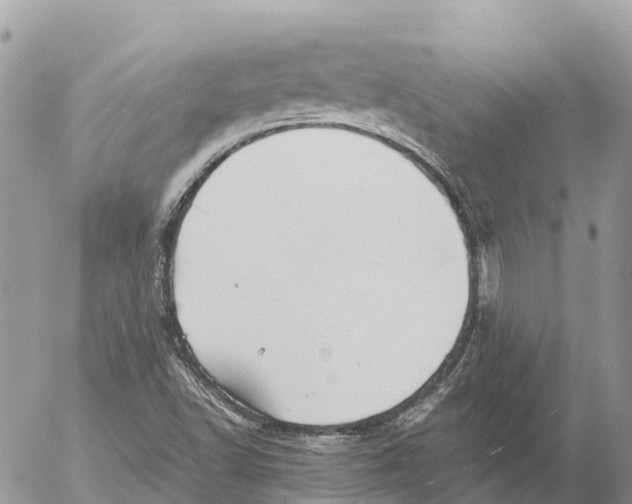 X0000053091502200508081257