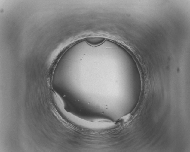 X0000053091503200508081257