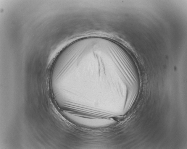 X0000053091504200508081257