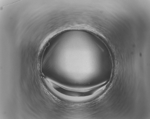 X0000053091506200508081257