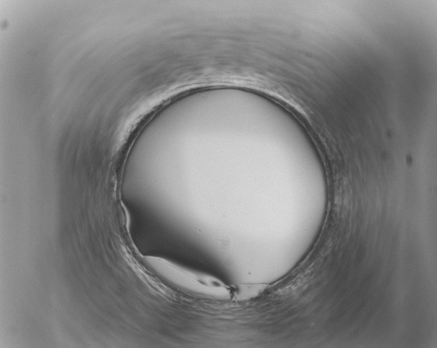 X0000053091507200508081257