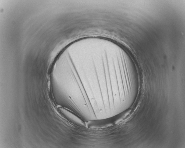 X0000053091509200508081257