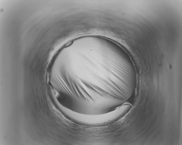 X0000053091510200508081257