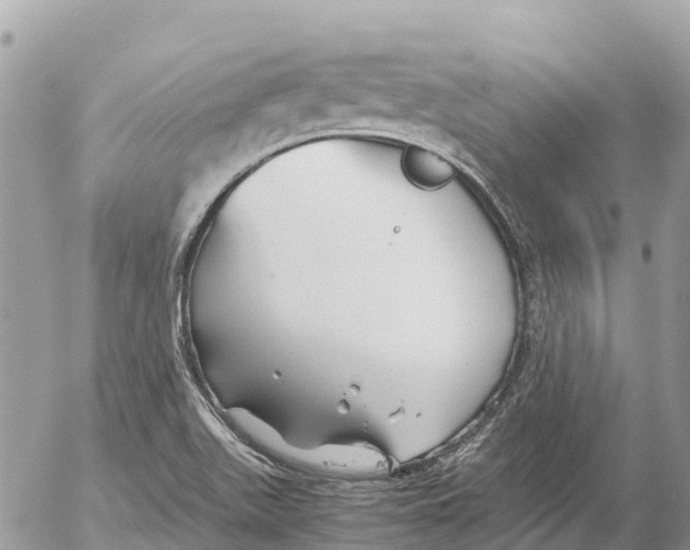 X0000053091511200508081257