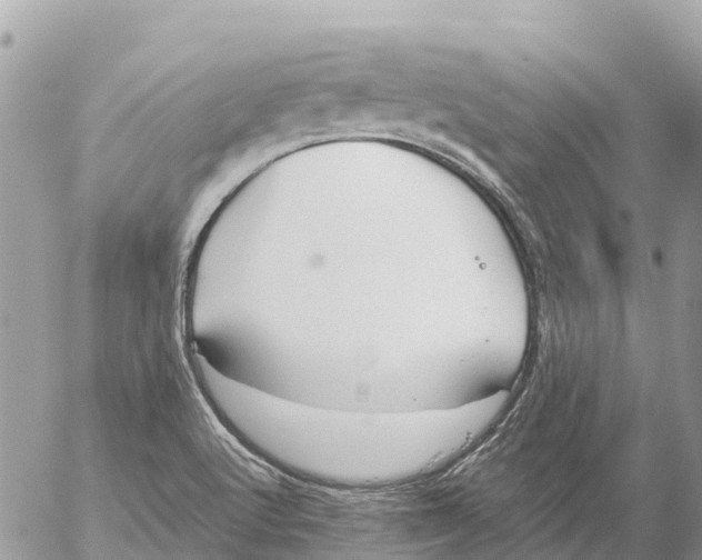 X0000053091512200508081257