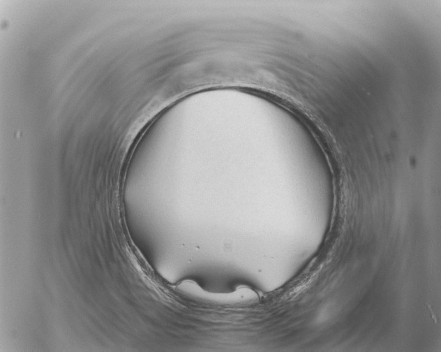 X0000053091513200508081257