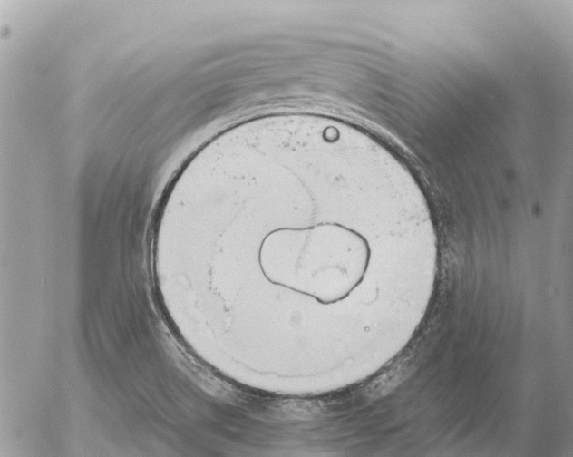 X0000053091514200508081257