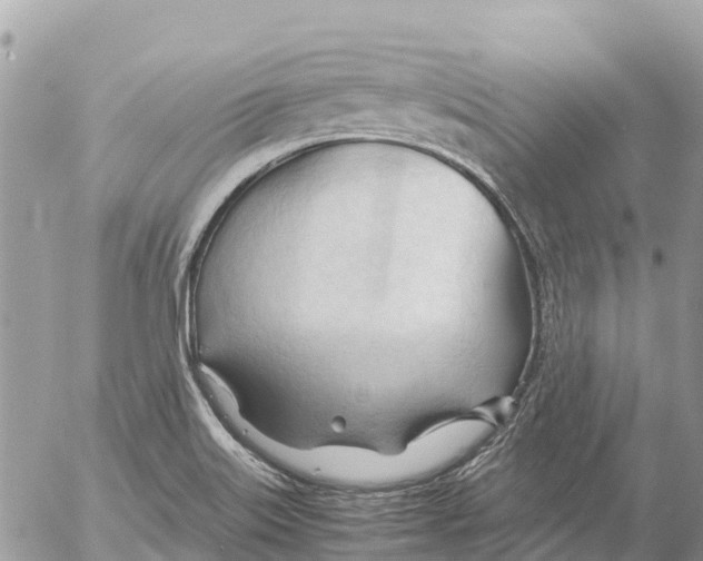 X0000053091515200508081257