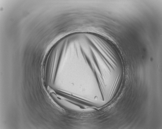 X0000053091517200508081257