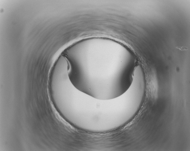 X0000053091518200508081258