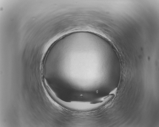 X0000053091519200508081258