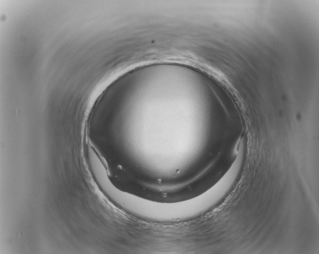 X0000053091520200508081258