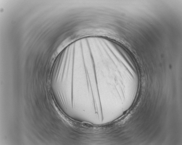 X0000053091521200508081258