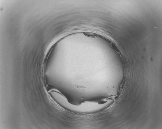 X0000053091522200508081258