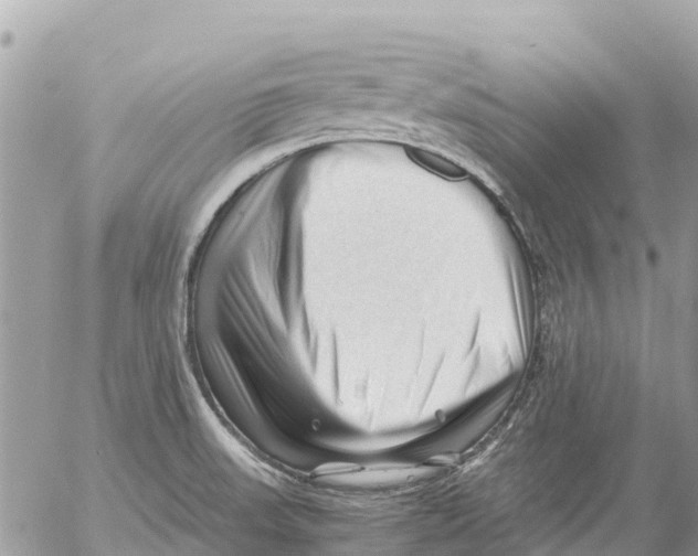 X0000053091523200508081258