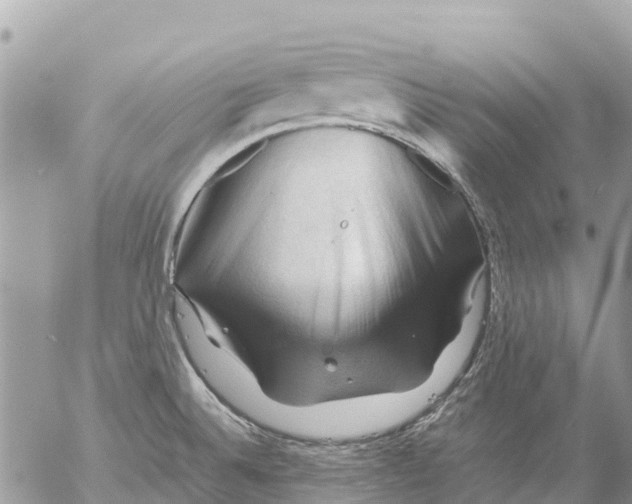 X0000053091524200508081258