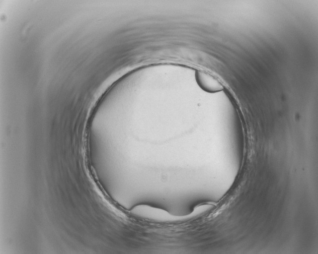 X0000053091525200508081258