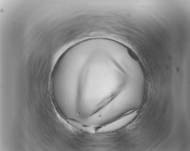 X0000053091527200508081258