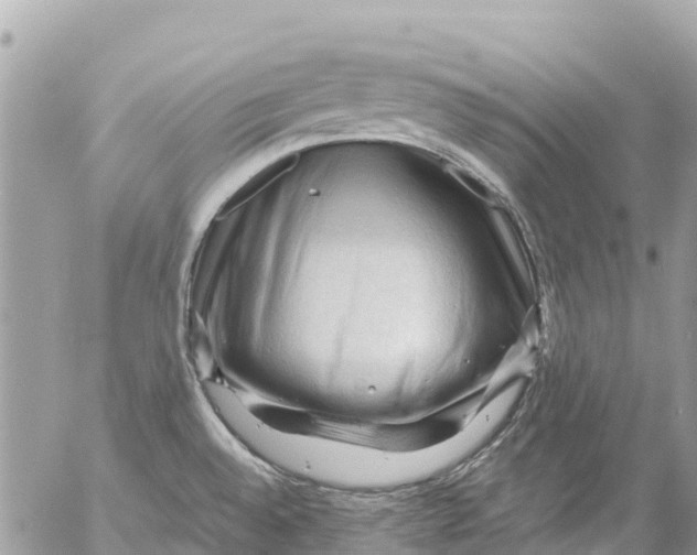 X0000053091528200508081258