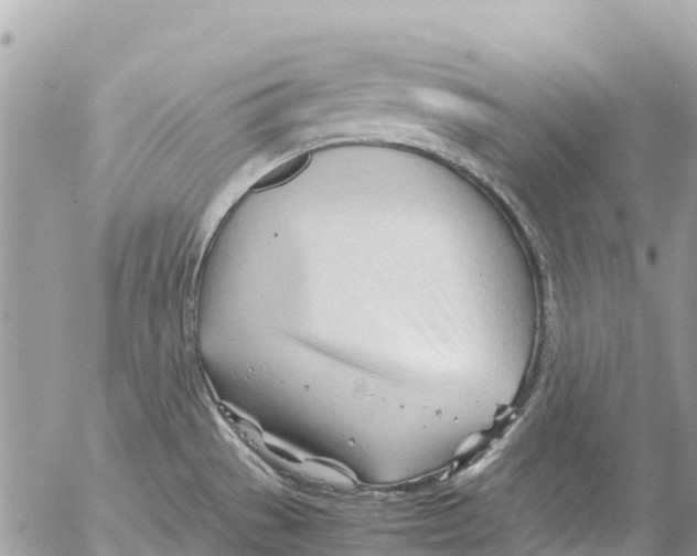 X0000053091529200508081258