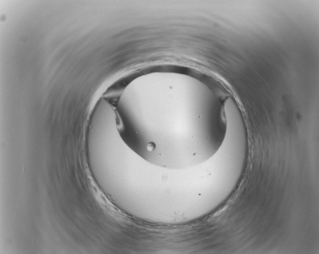 X0000053091530200508081258